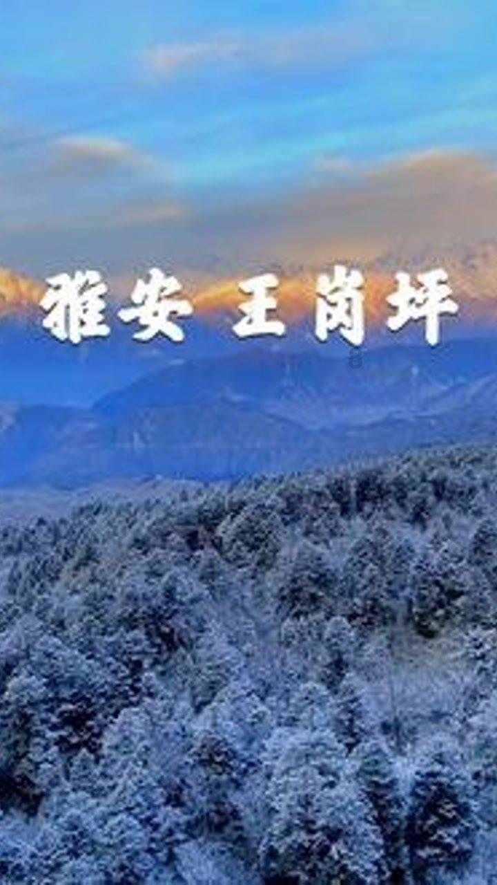 高校时尚女孩
